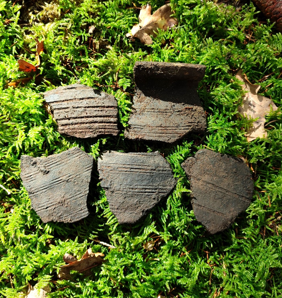 The discovery of a 13th century tar works or settlement